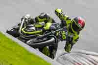 CB500 Group Yellow Bikes
